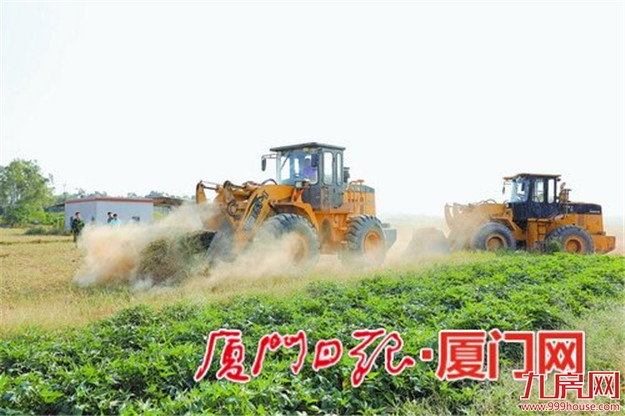 厦门房产,厦门房地产,厦门新房,九房网,厦门房产