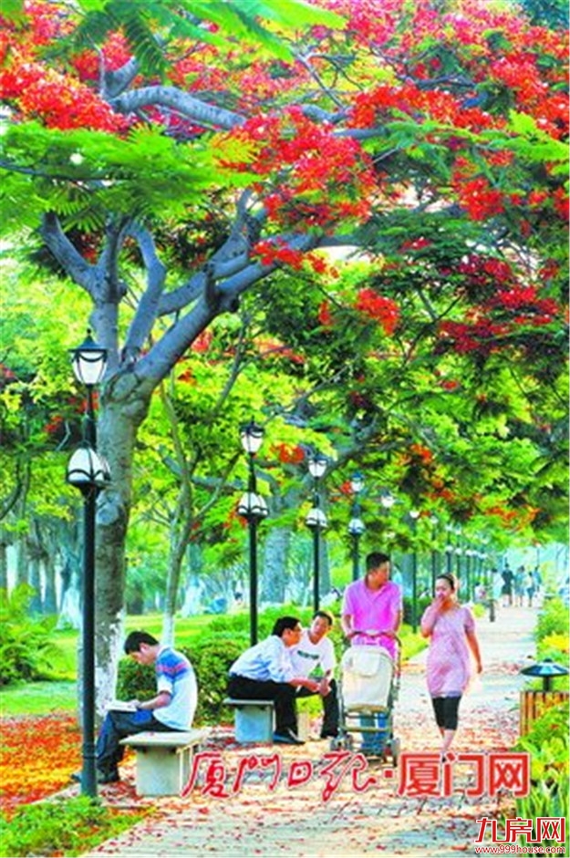 厦门房产,厦门房地产,厦门新房,九房网,厦门房产 厦门房产,厦门房地产,厦门新房,九房网,厦门房产