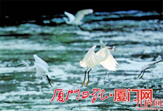 厦门房产,厦门房地产,厦门新房,九房网,厦门房产 厦门房产,厦门房地产,厦门新房,九房网,厦门房产