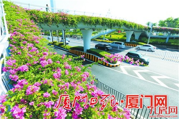 厦门房产,厦门房地产,厦门新房,九房网,厦门房产 厦门房产,厦门房地产,厦门新房,九房网,厦门房产