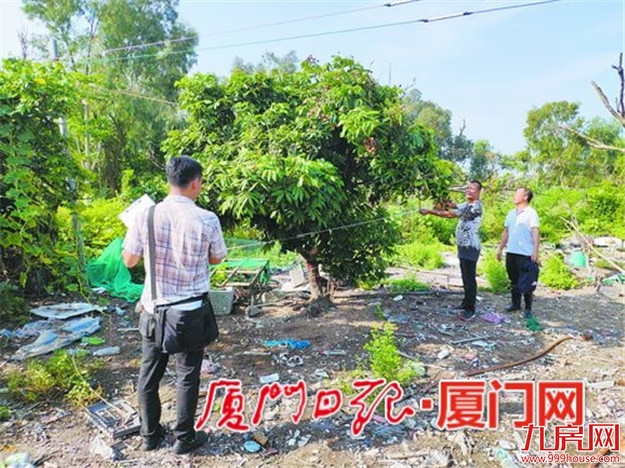 厦门房产,厦门房地产,厦门新房,九房网,厦门房产