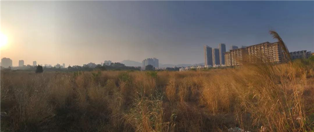 厦门房产,厦门房地产,厦门新房,九房网,厦门房产