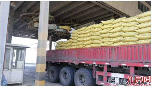 多图直击！厦门复工之战打响！地铁、公交变这样，一大波企业硬核上阵！——九房网