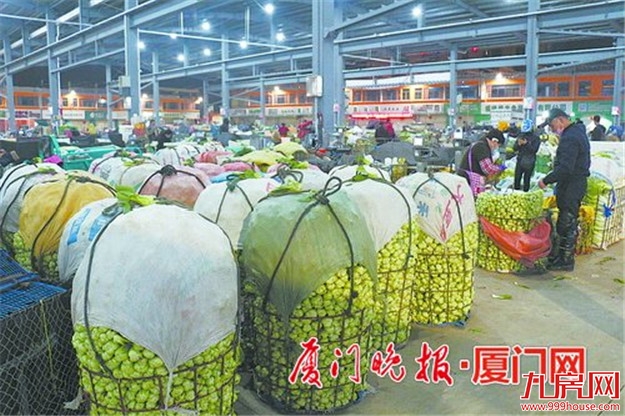 厦门房产,厦门房地产,厦门新房,九房网,厦门房产