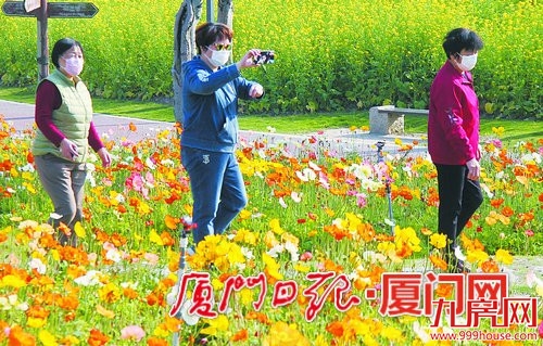 市市政园林局“双线作战”勇作为 服务大局敢担当——九房网 市市政园林局“双线作战”勇作为 服务大局敢担当——九房网