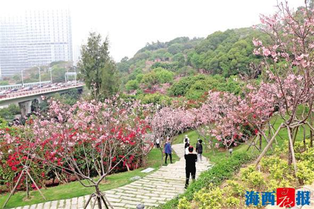 4月1日起厦门恢复本市组团旅游 跨省跨市和出入境等暂未恢复——九房网