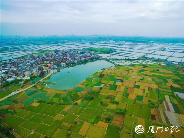 厦门房产,厦门房地产,厦门新房,九房网,厦门房产