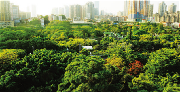 2020年岛外将建成3条绿道！五缘湾-湖边水库-东坪山步道计划启动建设！——九房网