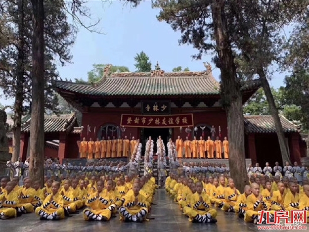暑期强档上新！带娃来龙湖学武功，上少林，燃情一夏——九房网