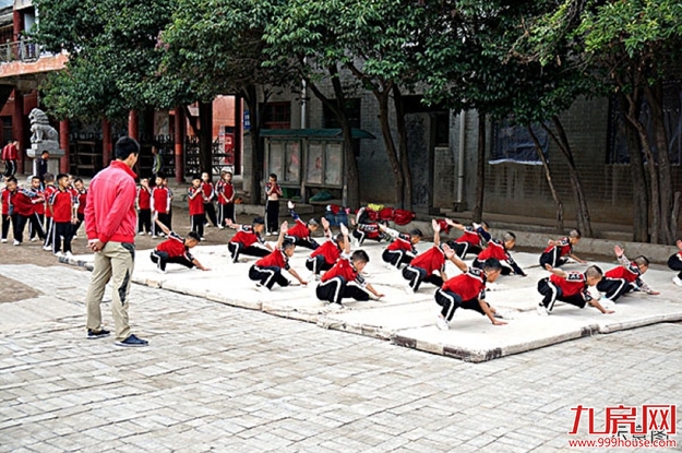 暑期强档上新！带娃来龙湖学武功，上少林，燃情一夏——九房网