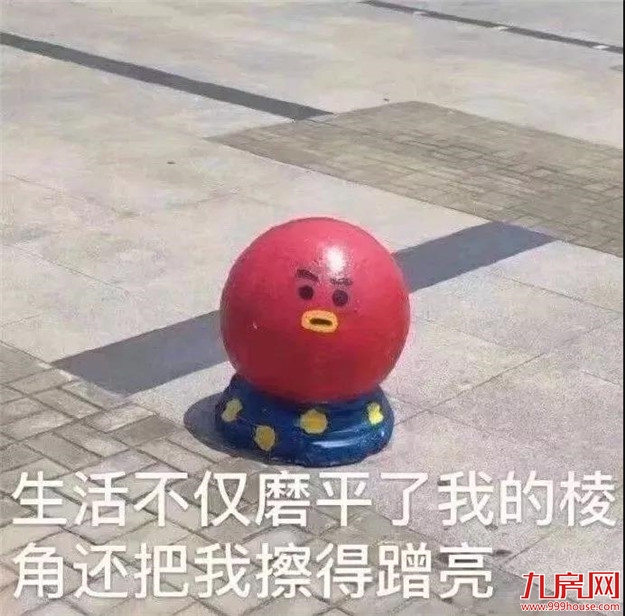 颤抖！2020年福建各市最新平均工资和房价表曝光！你能在哪个城市买房？——九房网