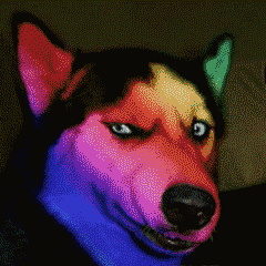 颤抖！2020年福建各市最新平均工资和房价表曝光！你能在哪个城市买房？——九房网