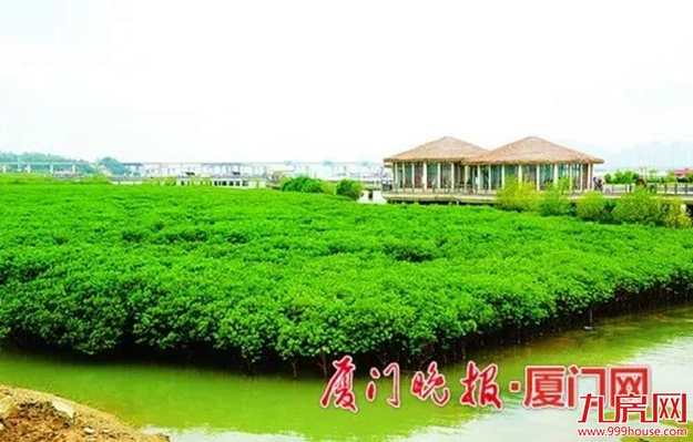 爆发了！厦门！厦门！今天起将富得流油！这里的人都将身价大涨！——九房网