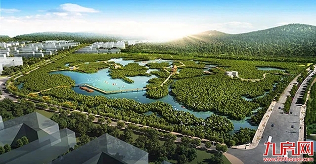 重磅规划首度曝光！厦门新机场大升级！翔安要出大名了！——九房网