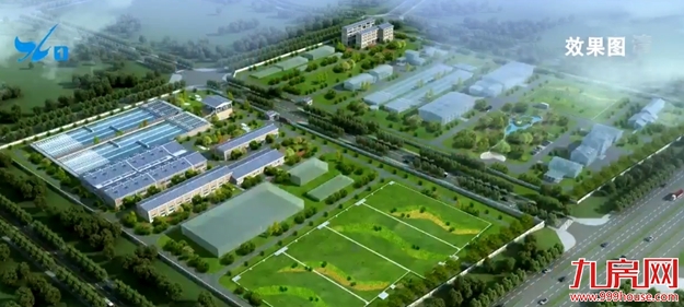 重磅规划首度曝光！厦门新机场大升级！翔安要出大名了！——九房网