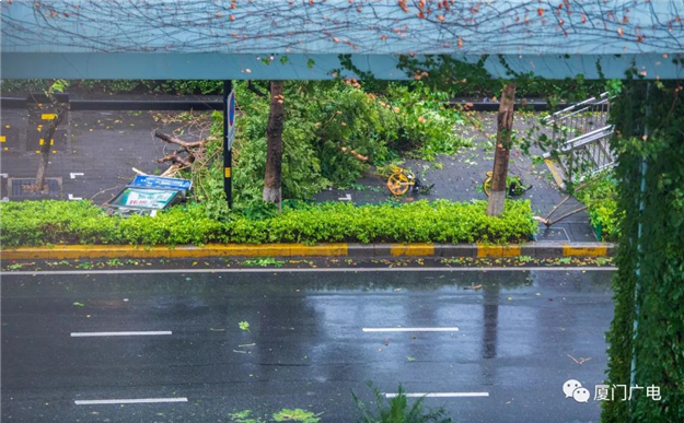 厦门房产,厦门房地产,厦门新房,九房网,厦门房产