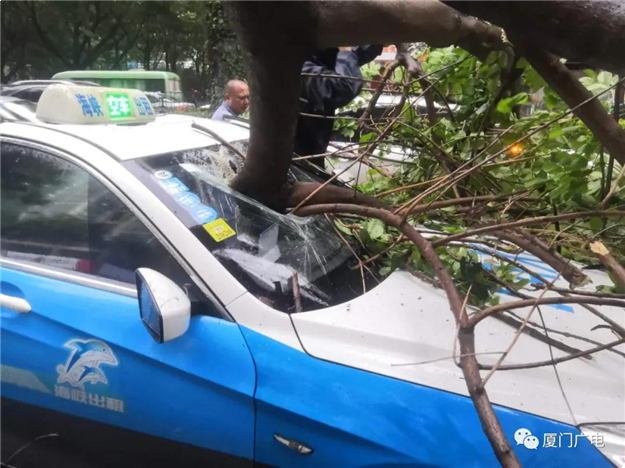 厦门房产,厦门房地产,厦门新房,九房网,厦门房产