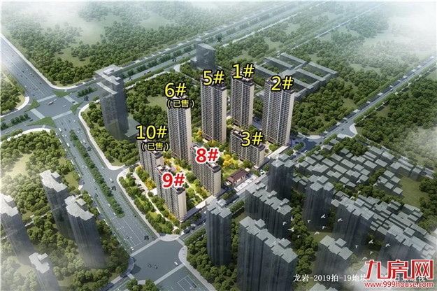 刚刚，建发泱著连夜抢开！现场盛况曝光！买房人意向强烈！——九房网