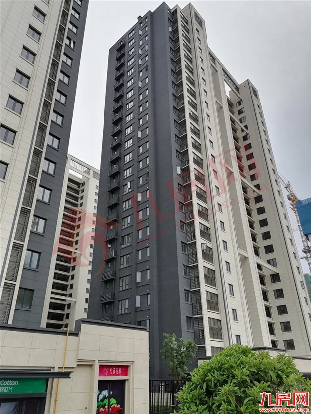 低价警报!刚需必看!暴踩闽侯高新区!1字头楼盘聚集!谁才是性价比之王?——九房网 低价警报!刚需必看!暴踩闽侯高新区!1字头楼盘聚集!谁才是性价比之王?——九房网