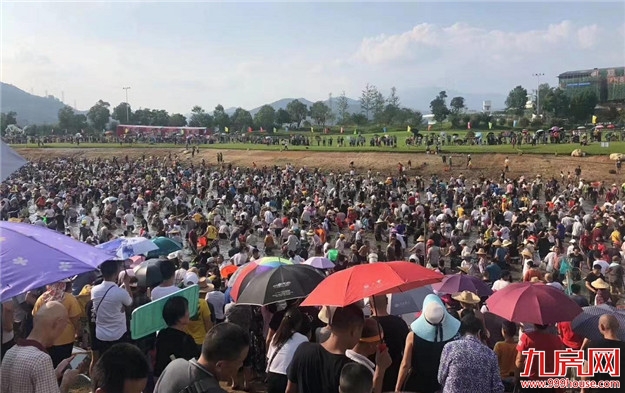 环降24.03%!环降27.2%!上周龙岩一手住宅成交量略微下滑!——九房网 环降24.03%!环降27.2%!上周龙岩一手住宅成交量略微下滑!——九房网