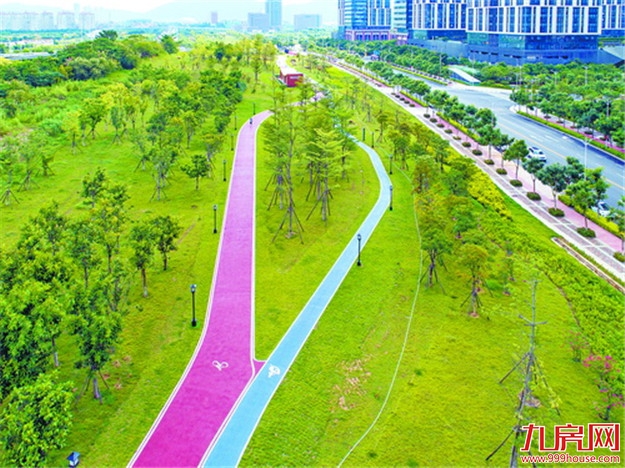 最新消息！集美新城慢行系统一期年底基本建成！由10条绿道组成！——九房网