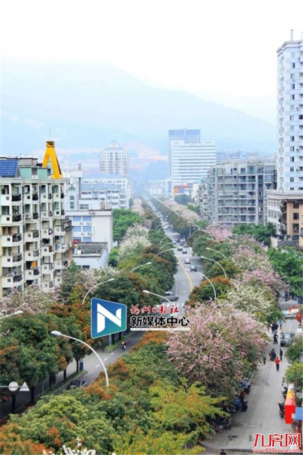  公示中！福州这个30多年的老环岛要改造了——九房网