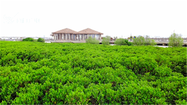 火力全开!厦门这个区全面爆发!——九房网 火力全开!厦门这个区全面爆发!——九房网