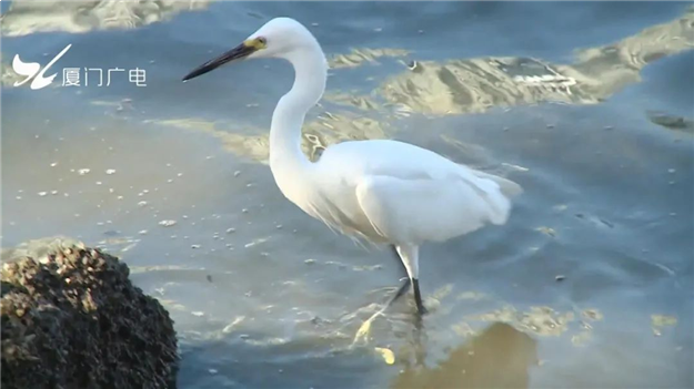 火力全开!厦门这个区全面爆发!——九房网 火力全开!厦门这个区全面爆发!——九房网