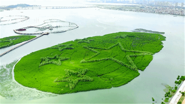 火力全开!厦门这个区全面爆发!——九房网 火力全开!厦门这个区全面爆发!——九房网