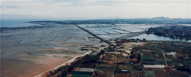 涨6.9万/㎡！涨5.8万/㎡！涨4万/㎡！厦门这些楼盘升值力爆表！——九房网