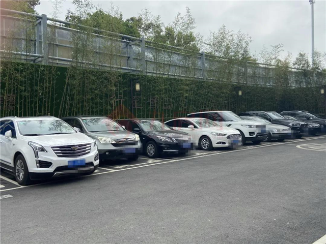 现场直击！刚刚，厦门两大豪宅齐开！大批有钱人排队抢！——九房网