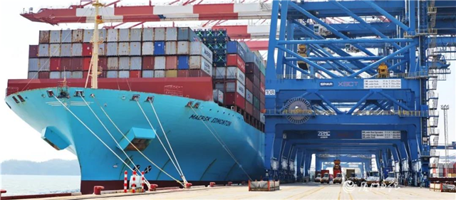 打造厦门东部教育发展新高地！翔安上新4所学校，位置在…——九房网