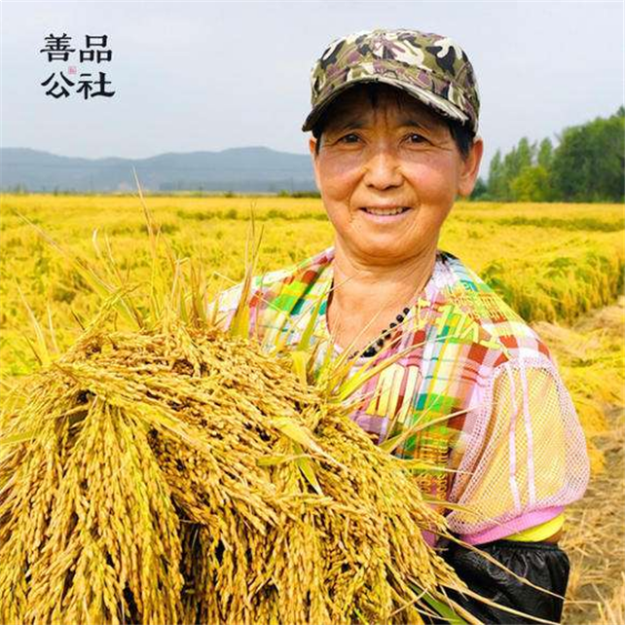 百万龙民的狂欢节来啦！龙民节报名火热进行中！——九房网