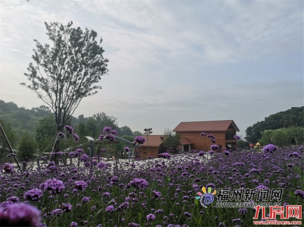 长乐南山生态公园将建1.7公里无障碍栈道——九房网