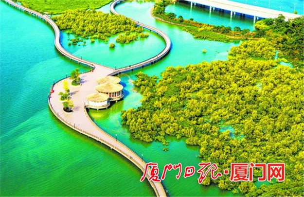 下潭尾红树林生态公园明年5月底前完工 市民可畅行4.2公里长"海上森林"——九房网