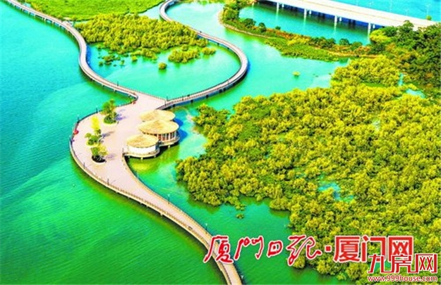 漫步“海上森林”!下潭尾红树林生态公园明年5月底完工——九房网