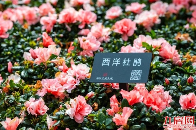 厦门房产,厦门房地产,厦门新房,九房网,厦门房产