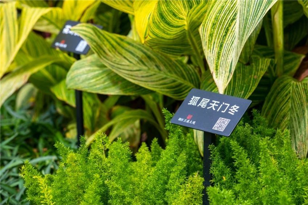 归心交付丨美好生活样板，融创福建3年打造“最美交付”——九房网