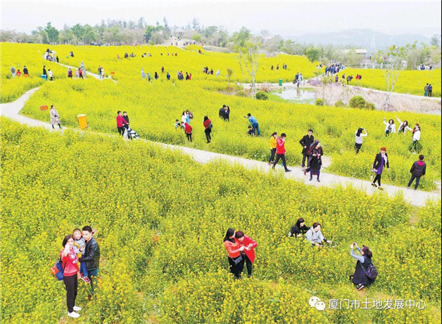 快讯!楼面价xxxx元/㎡!联发竞得集美2020JP02地块——九房网 快讯!楼面价xxxx元/㎡!联发竞得集美2020JP02地块——九房网