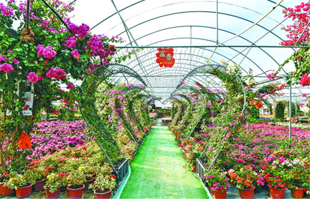 同安区汀溪镇打造“隘头村—顶村村”旅游动线，总投资约2200万元——九房网