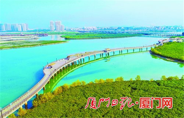 下潭尾红树林公园四大主题展馆开馆迎客●海洋文化嘉年华同期启幕，将持续至26日——九房网
