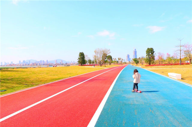 乘风前行！2020金砖国家新工业革命伙伴关系论坛在厦召开——九房网