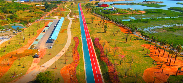 乘风前行！2020金砖国家新工业革命伙伴关系论坛在厦召开——九房网