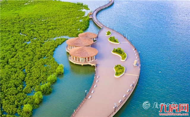 又一“国字号”大会落户厦门！17日—18日，全国聚焦厦门…——九房网