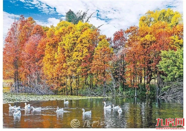 又一“国字号”大会落户厦门！17日—18日，全国聚焦厦门…——九房网