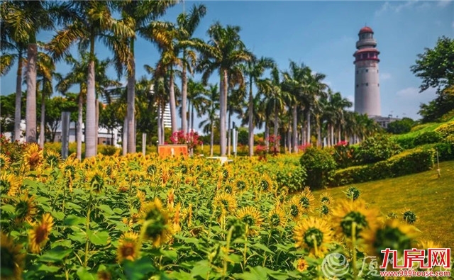 又一“国字号”大会落户厦门！17日—18日，全国聚焦厦门…——九房网