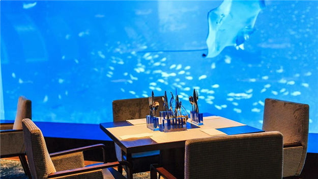 世界名流的家都在哪里？原来他们有一个共同爱好——九房网