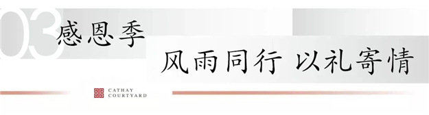 2020泰禾感恩季|初心不改，筑居美好生活——九房网