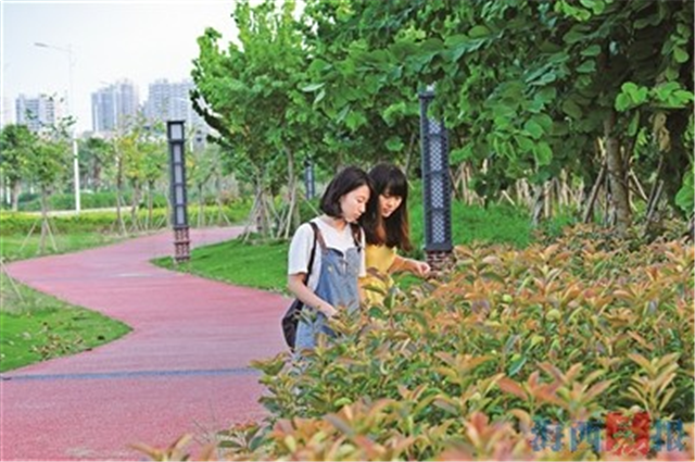 厦门房产,厦门房地产,厦门新房,九房网,厦门房产 厦门房产,厦门房地产,厦门新房,九房网,厦门房产