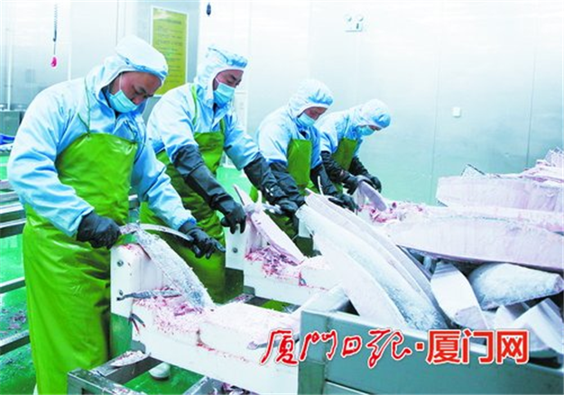 发力海洋经济打造亮眼“海上明珠”，为厦门高质量发展增添蓝色动能——九房网